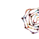 fondo_congreso_feup